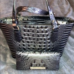 Brahmin Nightfall Ombré Handbag and Wallet